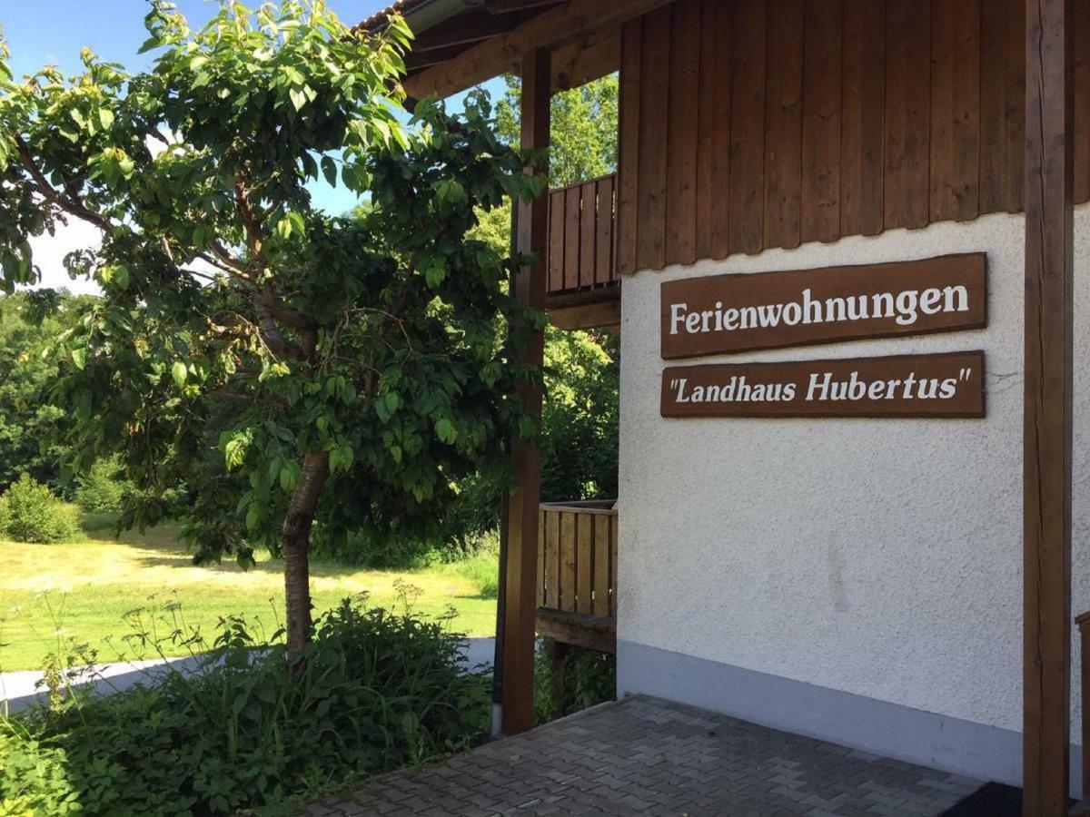 Ferienwohnung Hubertus Bischofsmais Zewnętrze zdjęcie